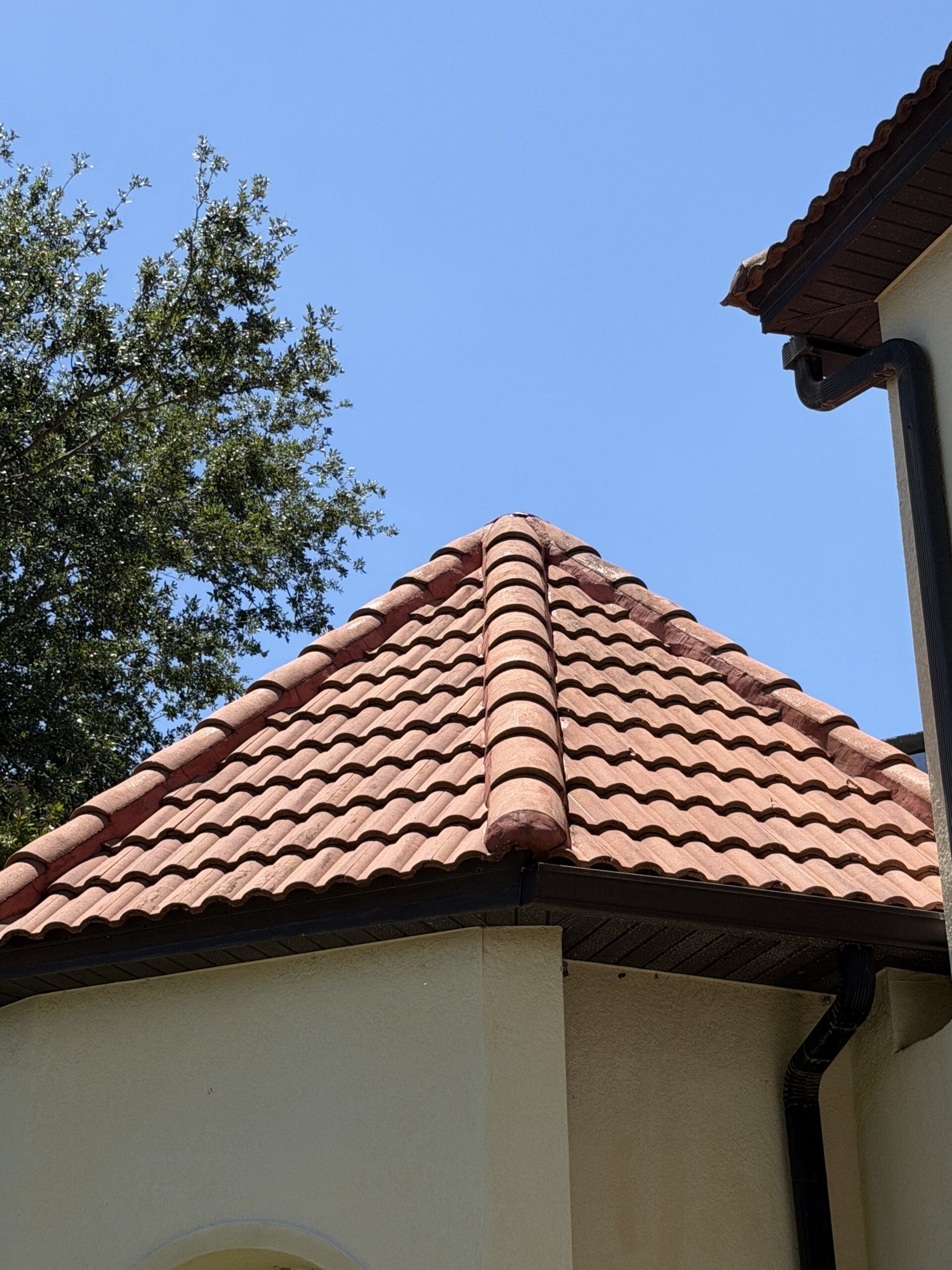 Roof soft wash — clean terracotta tile