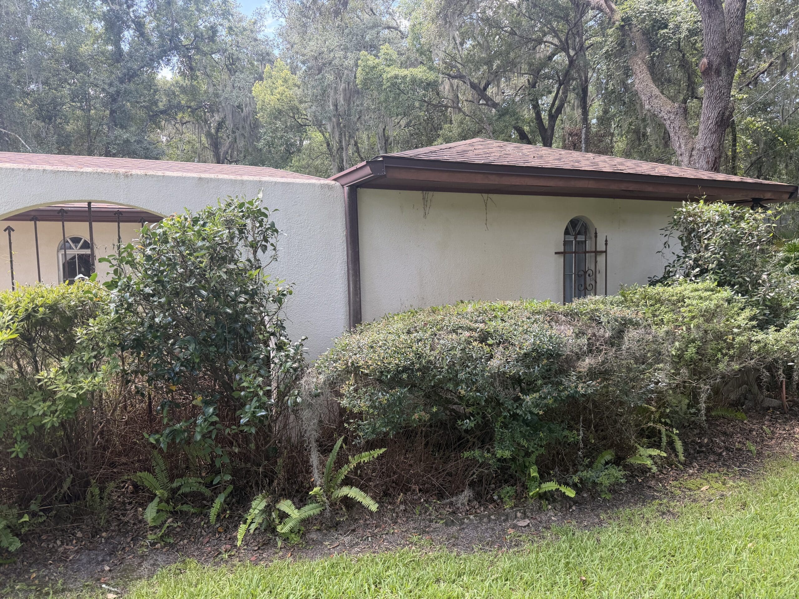 House soft washing before and after — Orlando